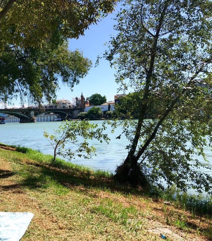 Let’s Talk About…CHOCOLATE