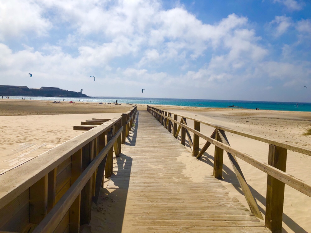 In A World Of Shelleys, BE A&nbsp;SHEILA