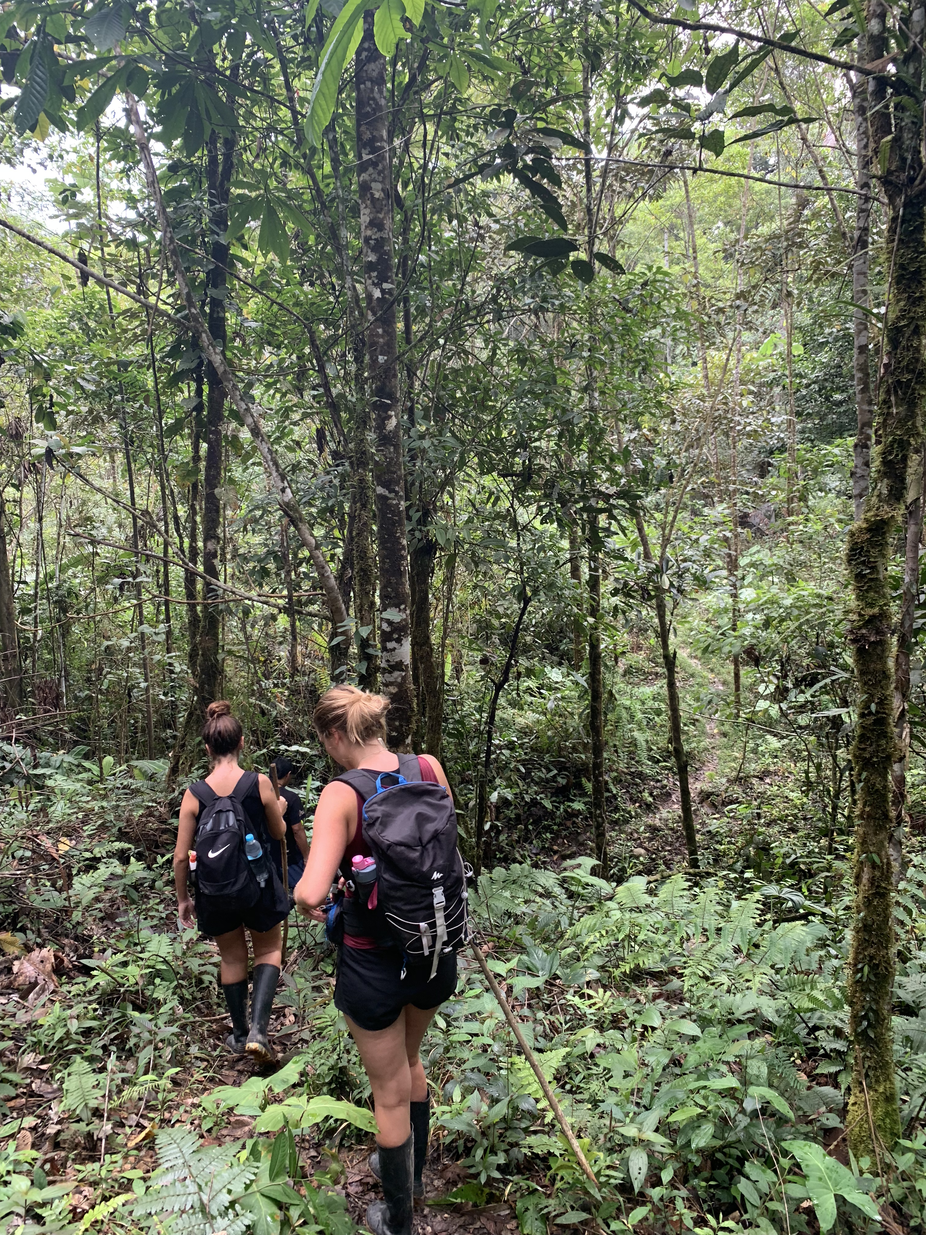 How I survived the Amazon for 3 days