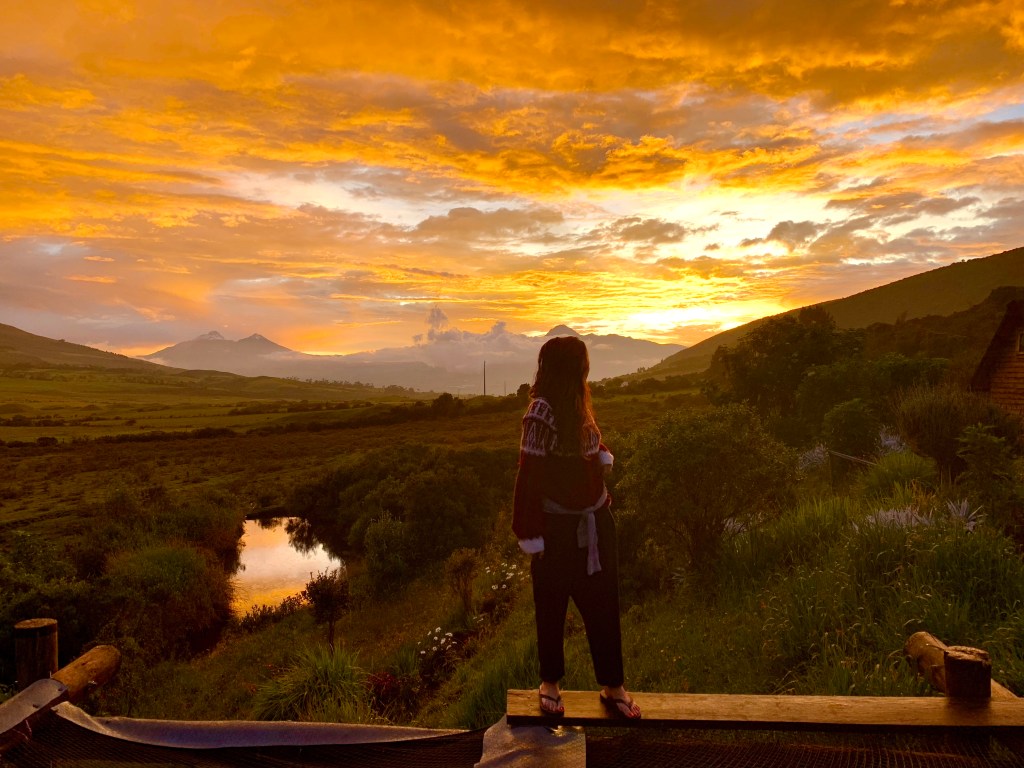 Life, Dating, Therapy & Travel Update In Lockdown&nbsp;2020