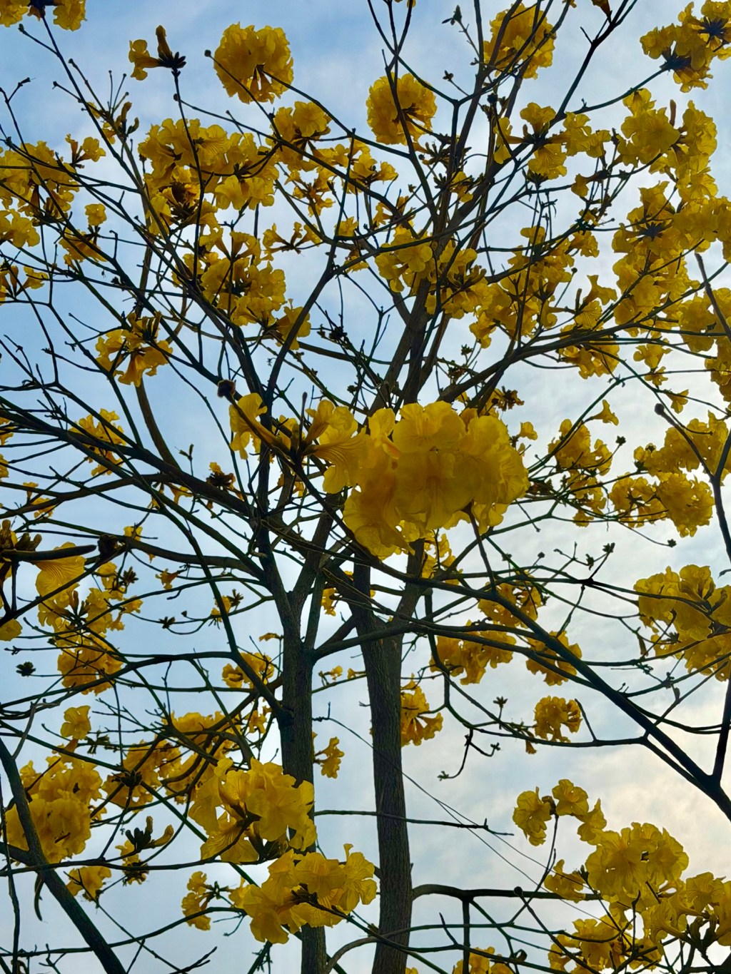 What is my why? Why am I here?